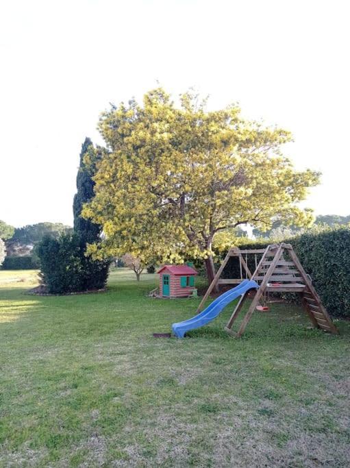 La Casina Di Campagna Tra Cecina E Bibbonaヴィラ エクステリア 写真