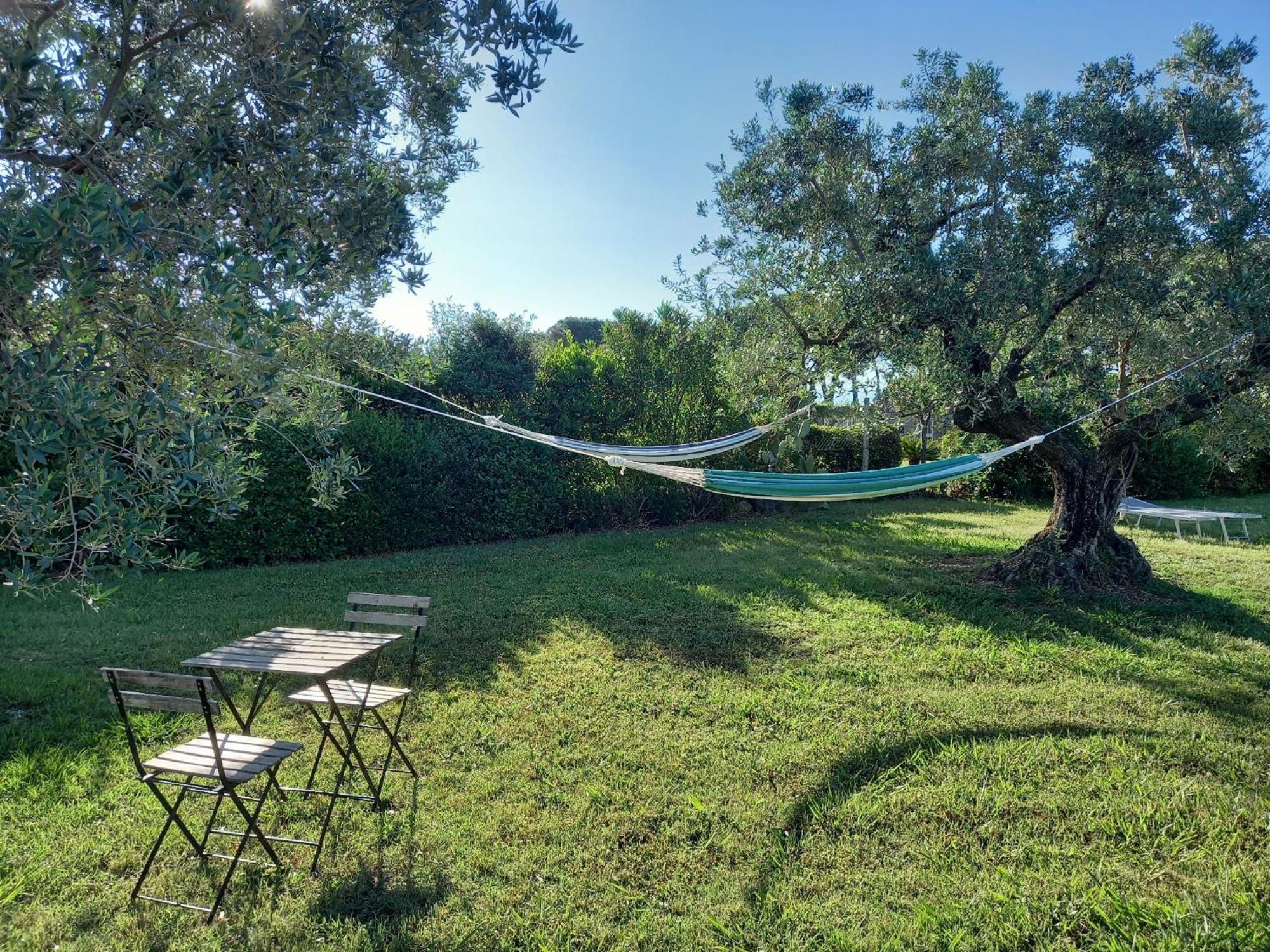 La Casina Di Campagna Tra Cecina E Bibbonaヴィラ エクステリア 写真