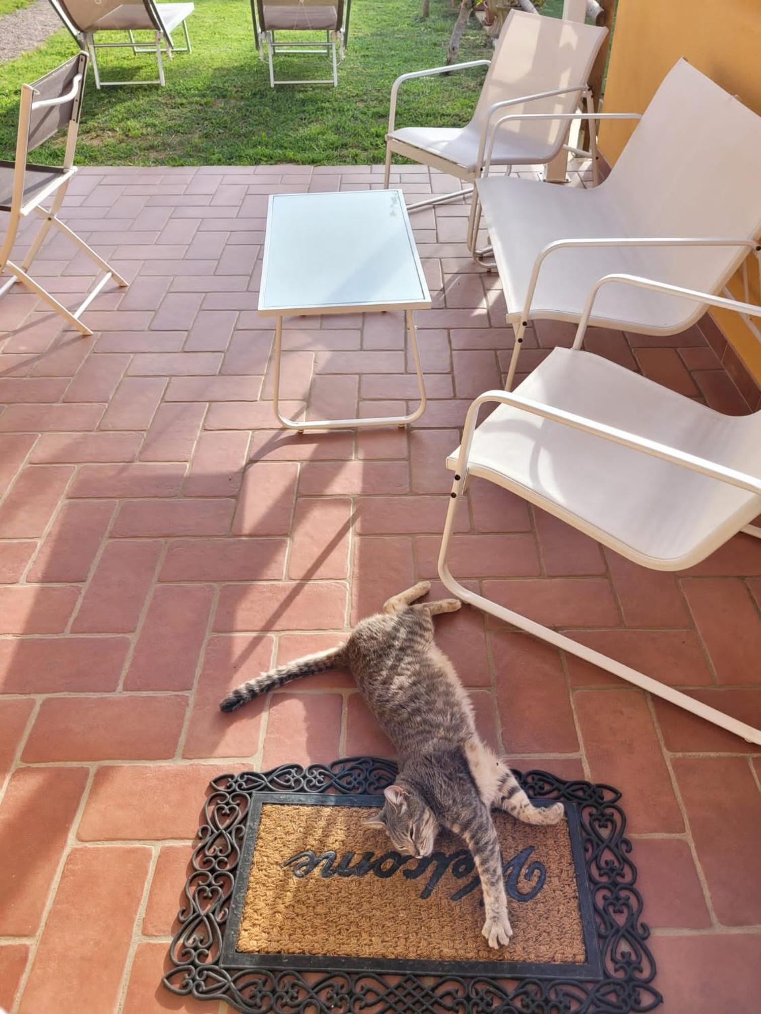 La Casina Di Campagna Tra Cecina E Bibbonaヴィラ エクステリア 写真